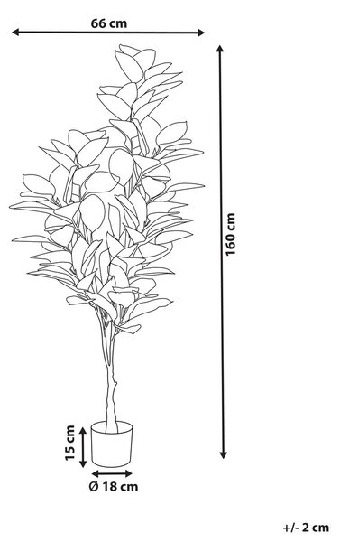 Műnövény FICUS ELASTICA 160 cm Zöld