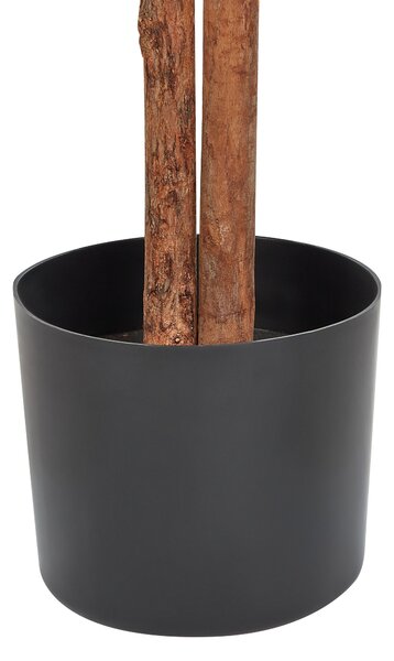 Műnövény FICUS 167 cm Zöld