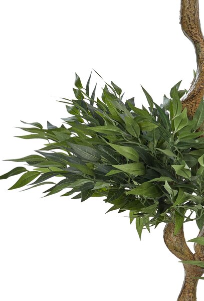 Műnövény RUSCUS TREE 166 cm Zöld
