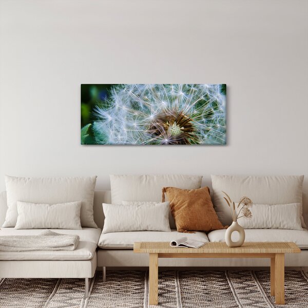 Elvirágzott pitypang képe (120x50 cm)