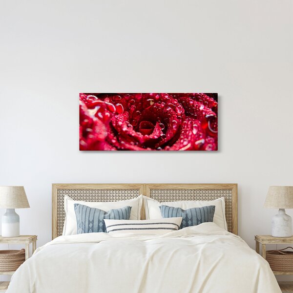 Vörös rózsa virágzata képe (120x50 cm)