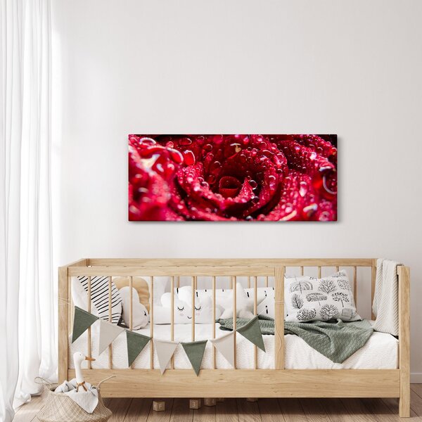 Vörös rózsa virágzata képe (120x50 cm)
