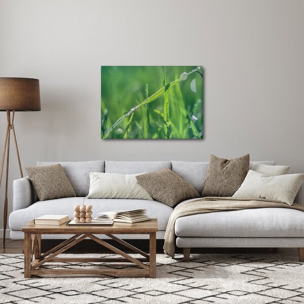 Harmat cseppek képe (70x50 cm)