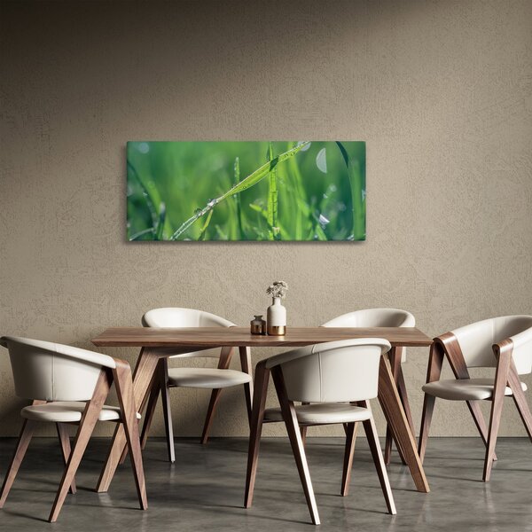 Harmat cseppek képe (120x50 cm)