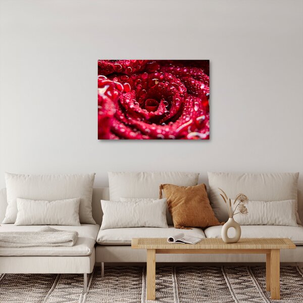 Vörös rózsa virágzata képe (70x50 cm)