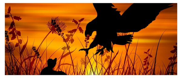 A ragadozó sziluettjének képe (120x50 cm)