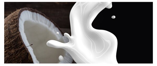 Kép - kókusz tej (120x50 cm)