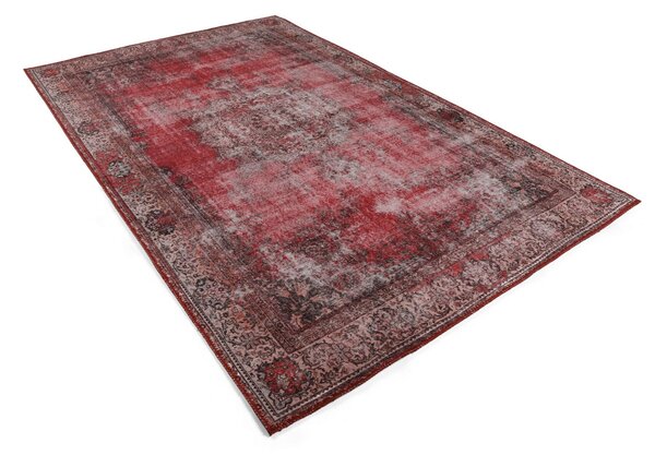 Conceptum Hypnose Szőnyeg (210 x 310) Multicolor Blues Chenille - Piros AL 119