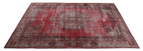 Conceptum Hypnose Szőnyeg (210 x 310) Multicolor Blues Chenille - Piros AL 119