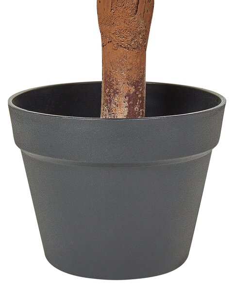Műnövény BUXUS BALL TREE 92 cm Zöld