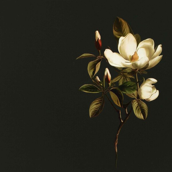 VidaXL Széf BREMEN Sonoma 102 x 33 x 75 cm Szerelt Fa