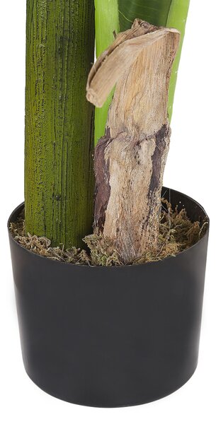 Műnövény MUSA TREE 154 cm Zöld