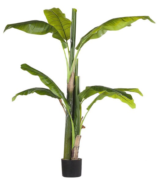 Műnövény MUSA TREE 154 cm Zöld