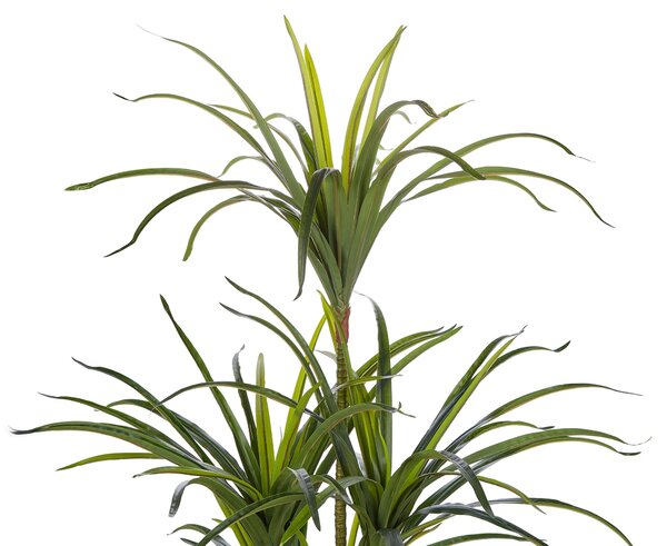 Műnövény DRACAENA ANITA 147 cm Zöld