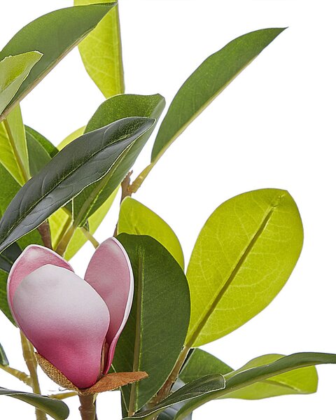 Műnövény MAGNOLIA 70 cm Zöld