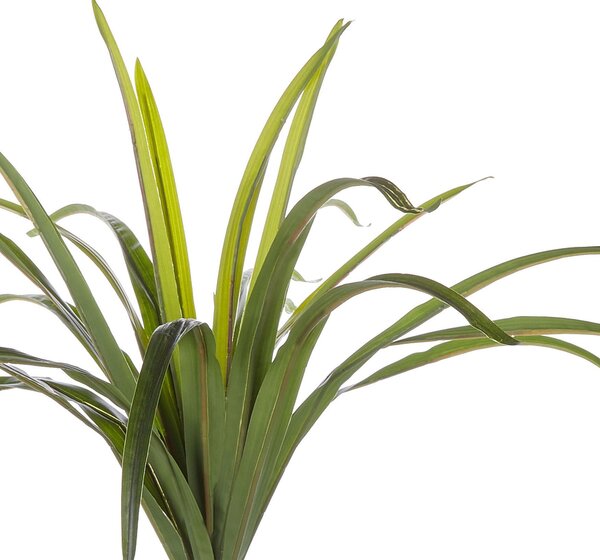 Műnövény DRACAENA ANITA 147 cm Zöld