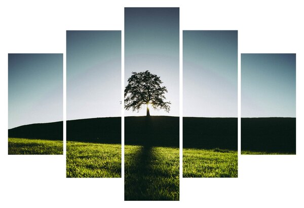 Természet kép - fa (150x105 cm)