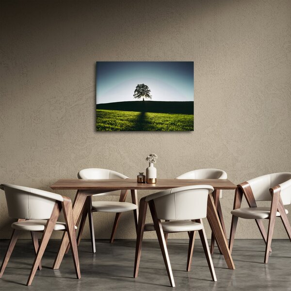 Természet kép - fa (70x50 cm)