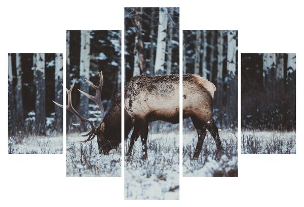 Kép - szarvas télen (150x105 cm)
