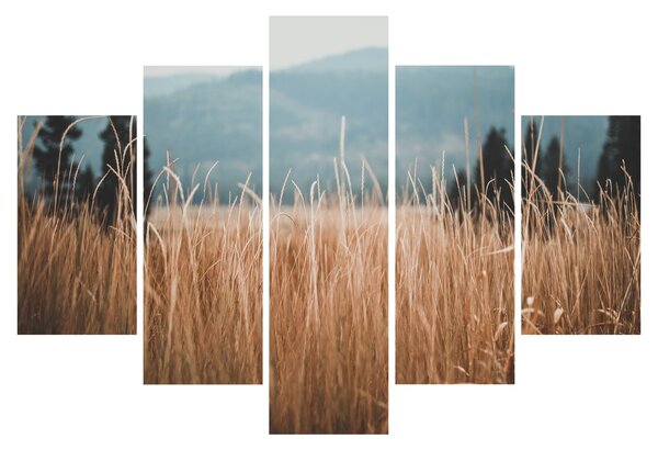 Kép - réti növényzet részlete (150x105 cm)