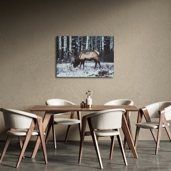 Kép - szarvas télen (70x50 cm)