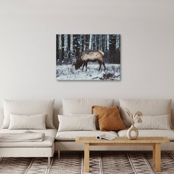 Kép - szarvas télen (70x50 cm)