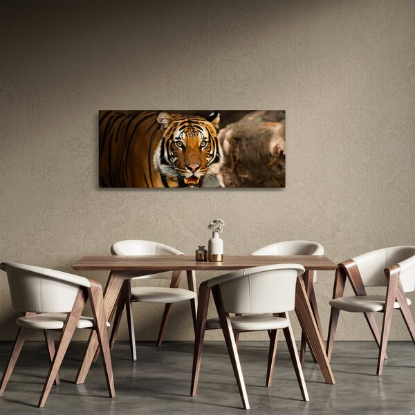 Tigris képe (120x50 cm)