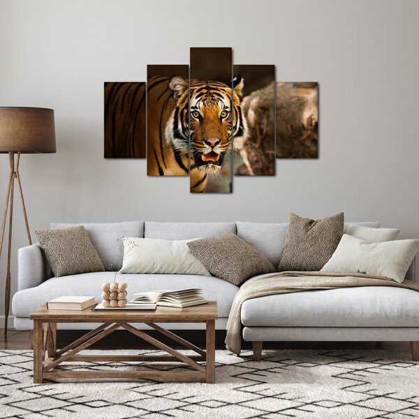 Tigris képe (150x105 cm)