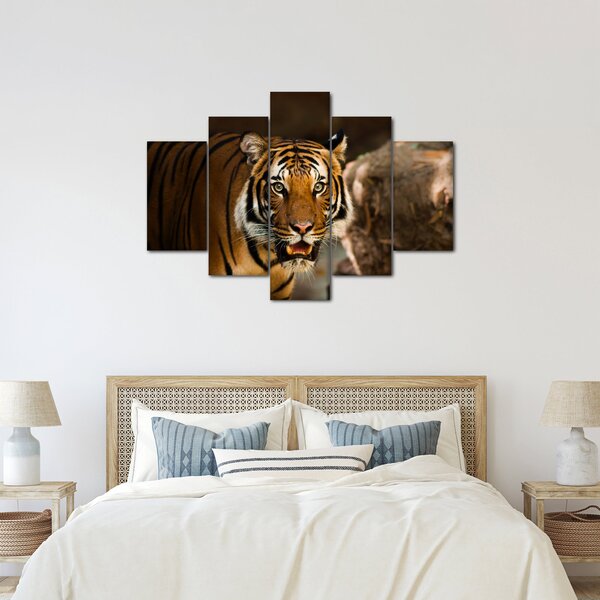 Tigris képe (150x105 cm)