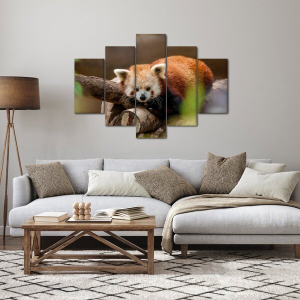 Vörös panda képe (150x105 cm)