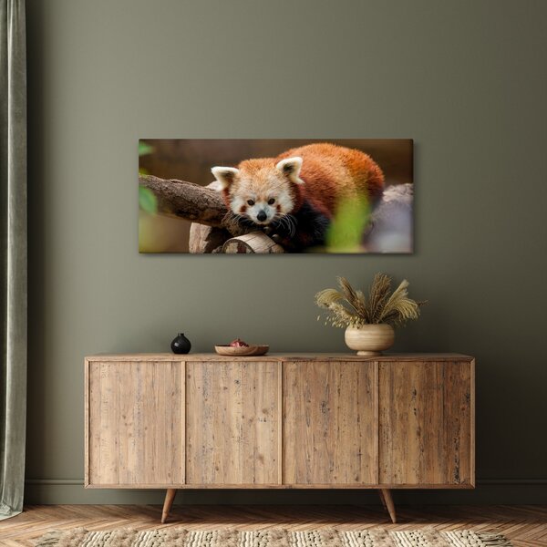 Vörös panda képe (120x50 cm)