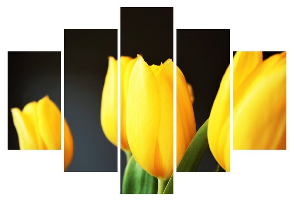 Tulipán képe (150x105 cm)