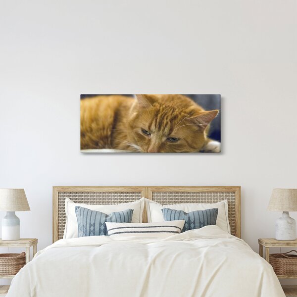 Macska képe (120x50 cm)