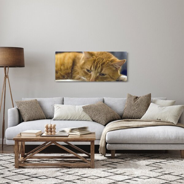 Macska képe (120x50 cm)