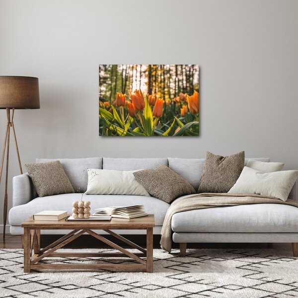 Kép - tulipánok (70x50 cm)