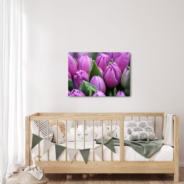 Kép - tulipánok (70x50 cm)