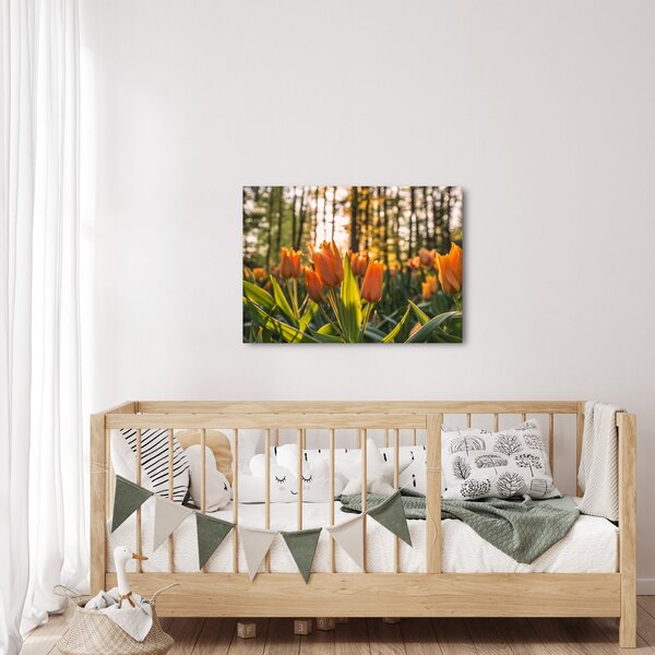 Kép - tulipánok (70x50 cm)