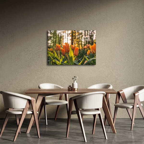 Kép - tulipánok (70x50 cm)