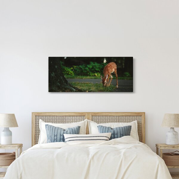 Gida képe (120x50 cm)