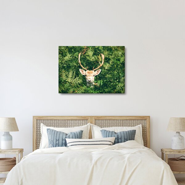 Kép - őz fej részlete (70x50 cm)