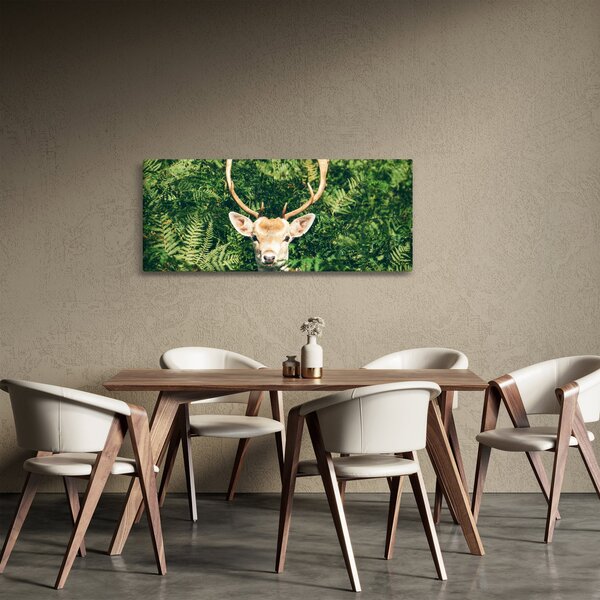 Kép - őz fej részlete (120x50 cm)