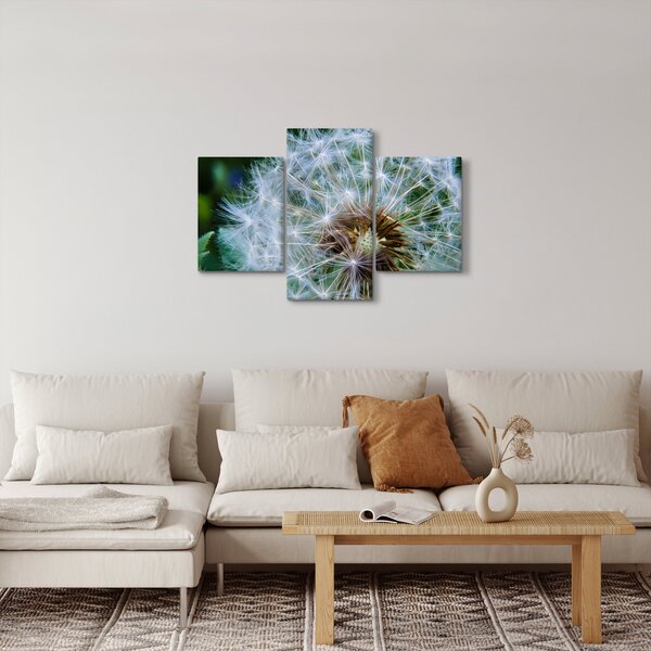 Elvirágzott pitypang képe (90x60 cm)