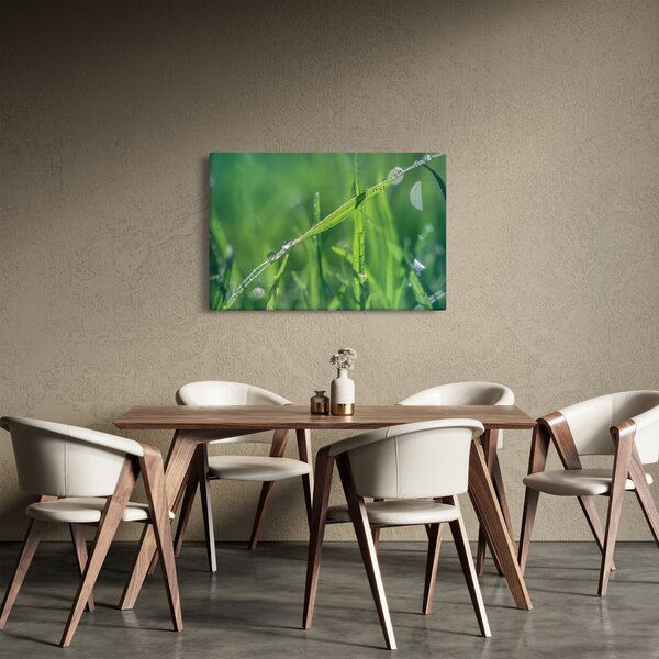 Harmat cseppek képe (90x60 cm)