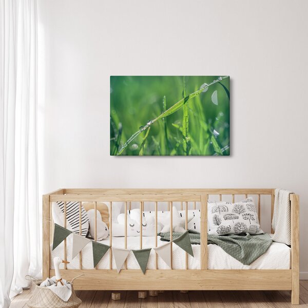 Harmat cseppek képe (90x60 cm)