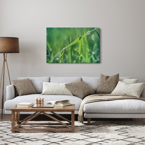 Harmat cseppek képe (90x60 cm)