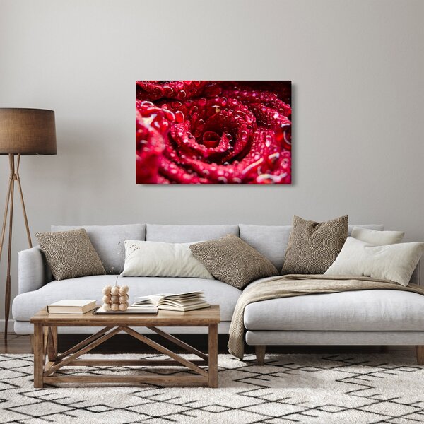 Vörös rózsa virágzata képe (90x60 cm)