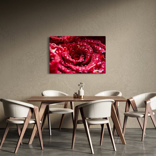 Vörös rózsa virágzata képe (90x60 cm)