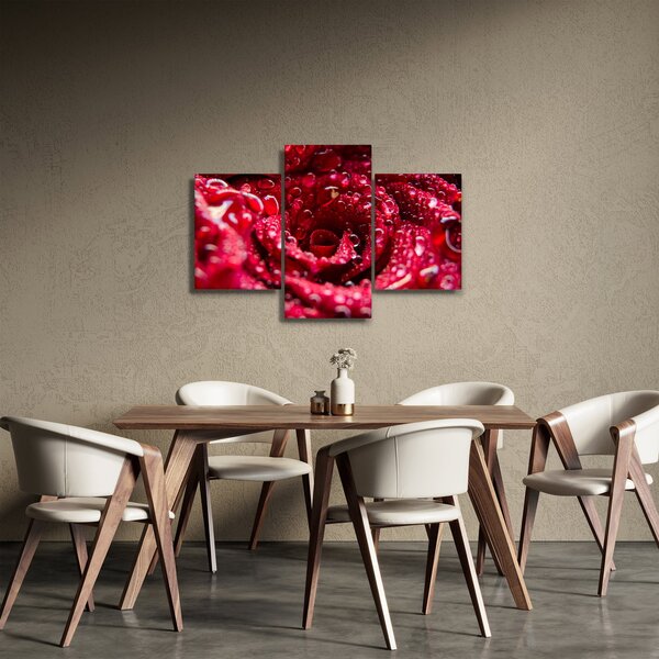 Vörös rózsa virágzata képe (90x60 cm)