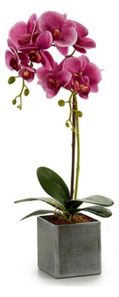 Ibergarden Dekoratív virág Műanyag Orchidea (18 x 51 x 14 cm)