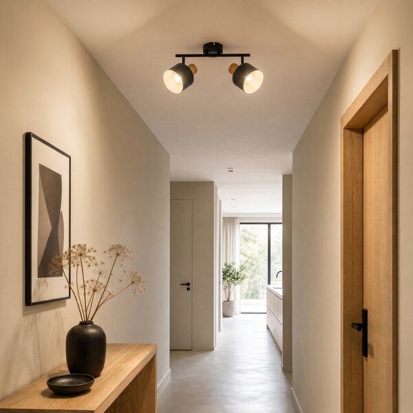 Mennyezeti Lámpa Lindby, Lenja, dimmable, Fekete, Nappali, Fém, Modern